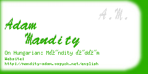 adam mandity business card